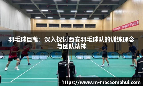 羽毛球巨献：深入探讨西安羽毛球队的训练理念与团队精神